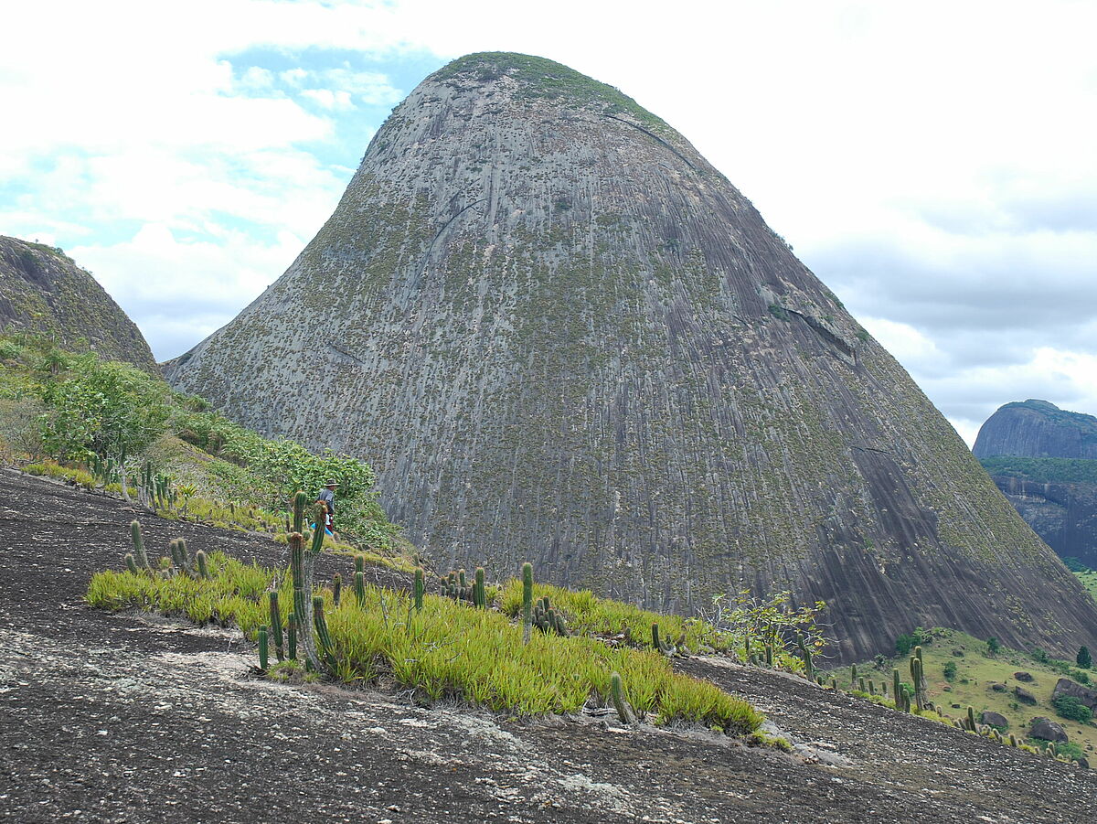 dome shaped IB, Caladao