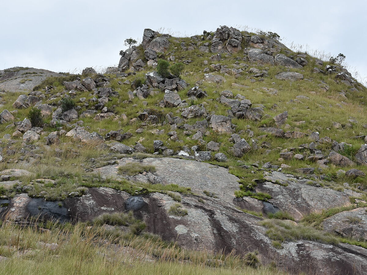 IB , road to Itremo, in grassland